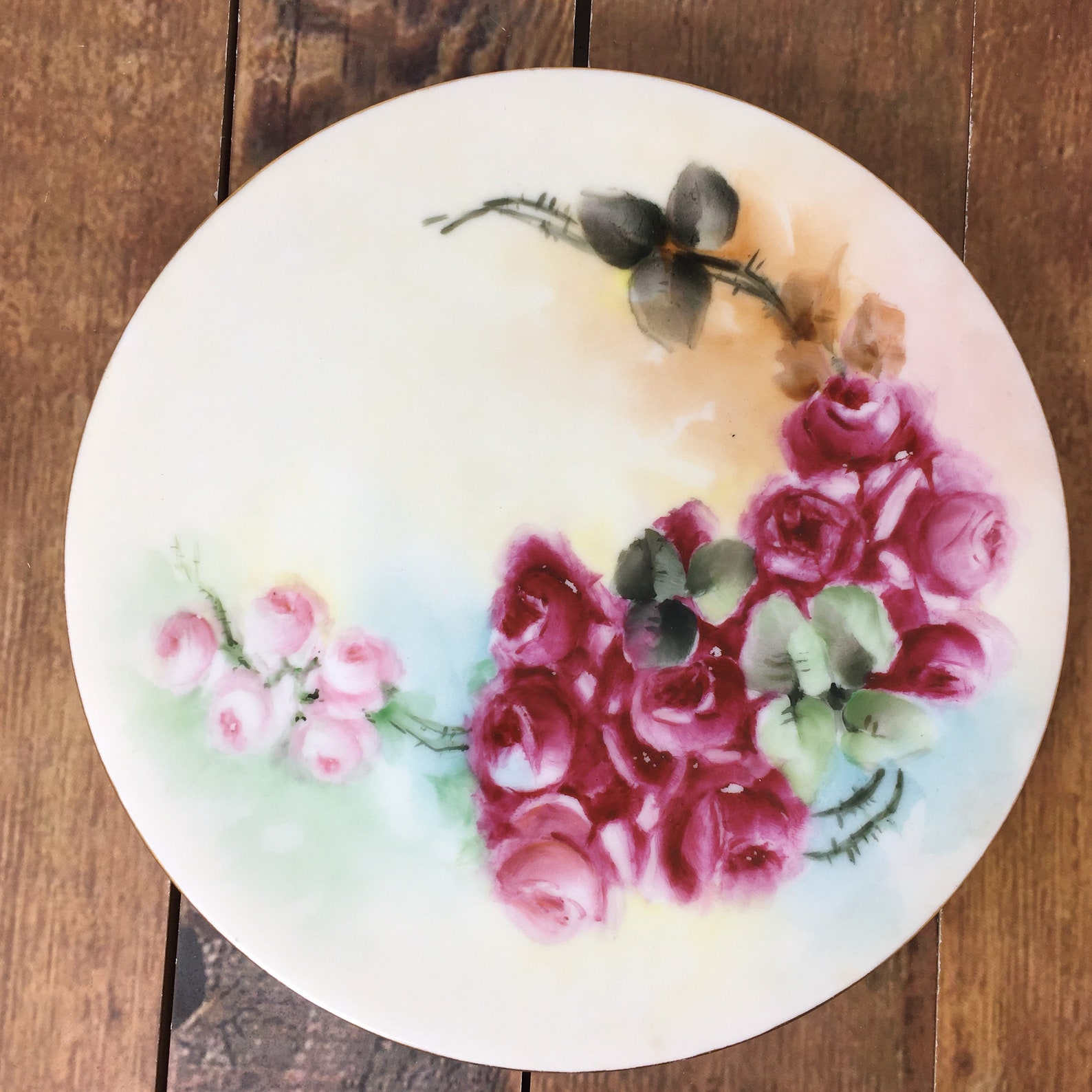 Vintage Decorative Floral Wall Plate Sevres Thomas Bavaria Etsy