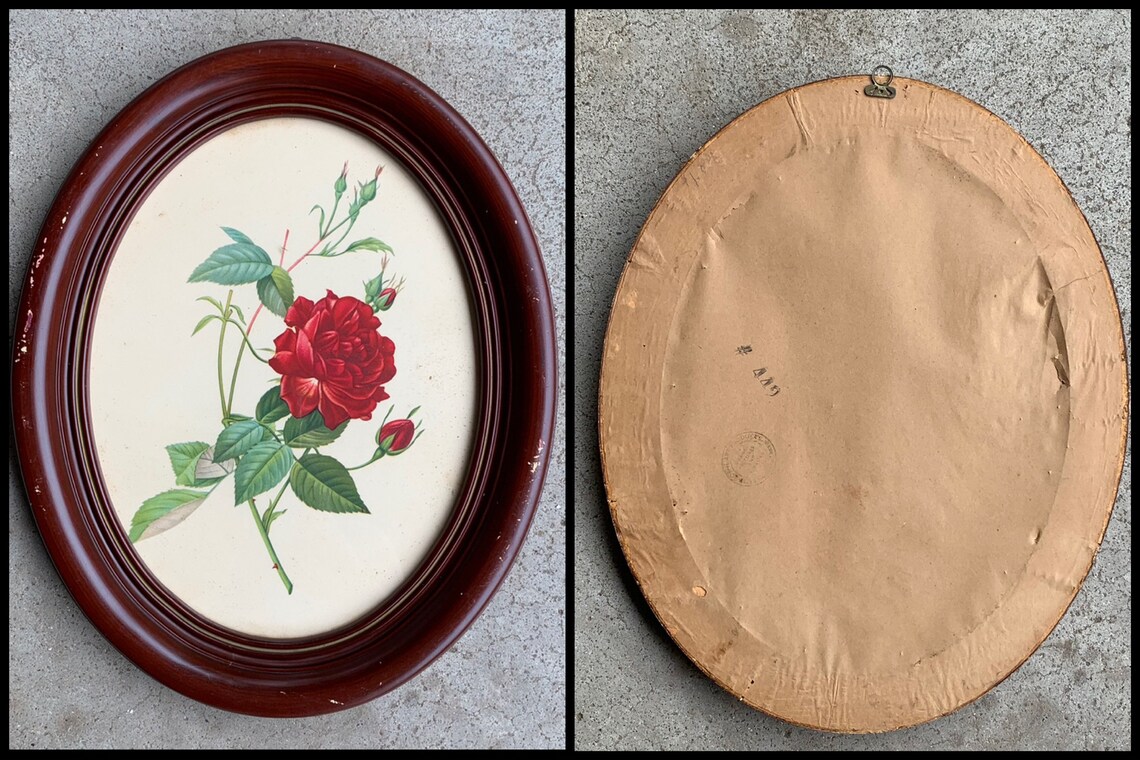 Borin Art Products Chicago 442 Framed Print of Roses Floral Etsy