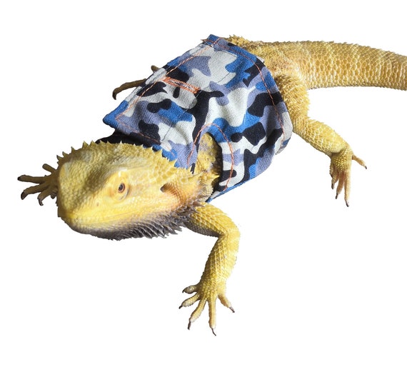 bearded dragon apparel