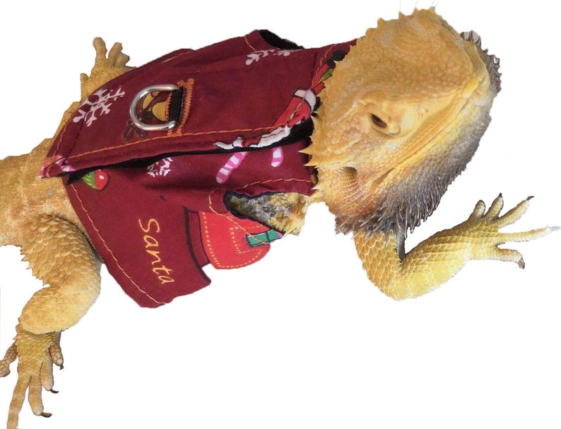 bearded dragon christmas outfits