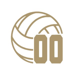 Volleyball Number Iron On Transfer, Custom Team Shirt Decal