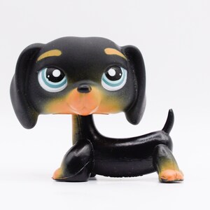 All lps dachshunds deals