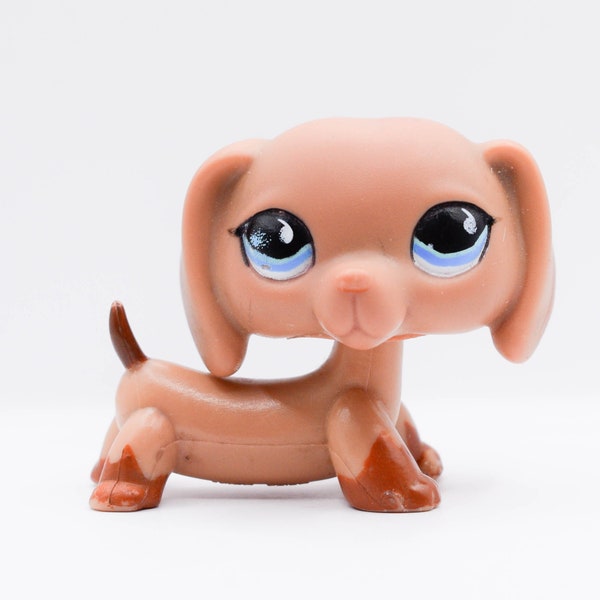 LPS | Cute Dachshund #518 | Authentic Littlest Pet Shop | Hasbro | Collector Toys