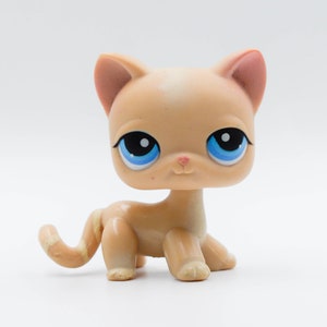LPS Littlest Pet Shop 228 Shorthair Cat Hasbro Collector Toys Petshop Etsy