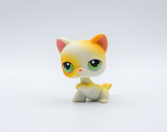 lps shorthair cats for sale