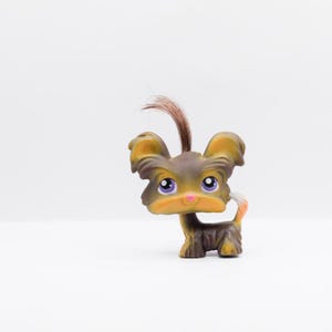LPS | Entzückender Shi Tzu | Authentisch Littlest Pet Shop | Hasbro | Sammler Spielzeug