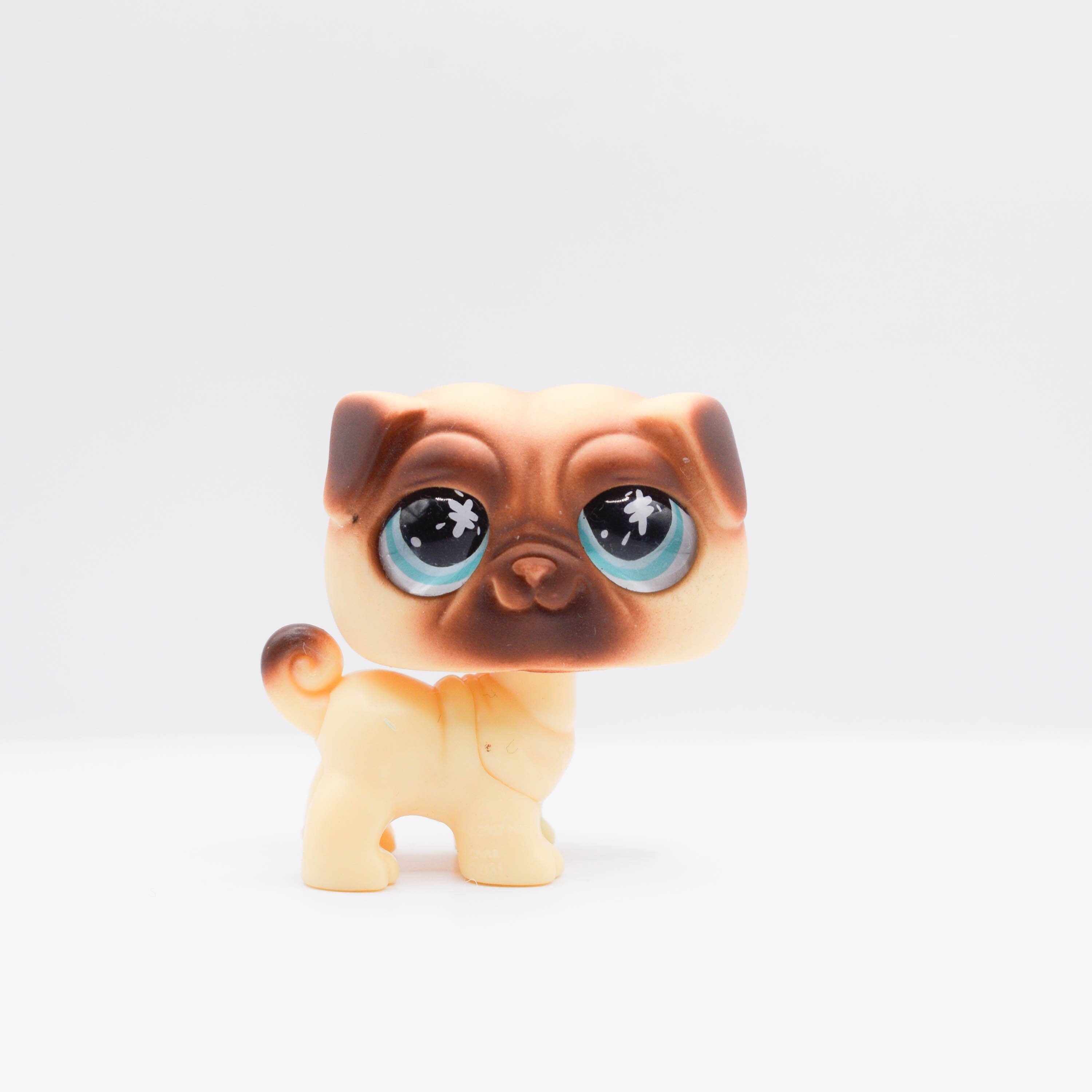 Littlest pet shop pug online
