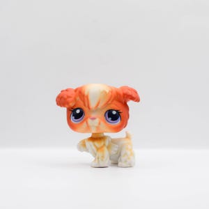 LPS | Sweet Poodle #37 | Authentic Littlest Pet Shop | Hasbro | Collector Toys | My Toytopia