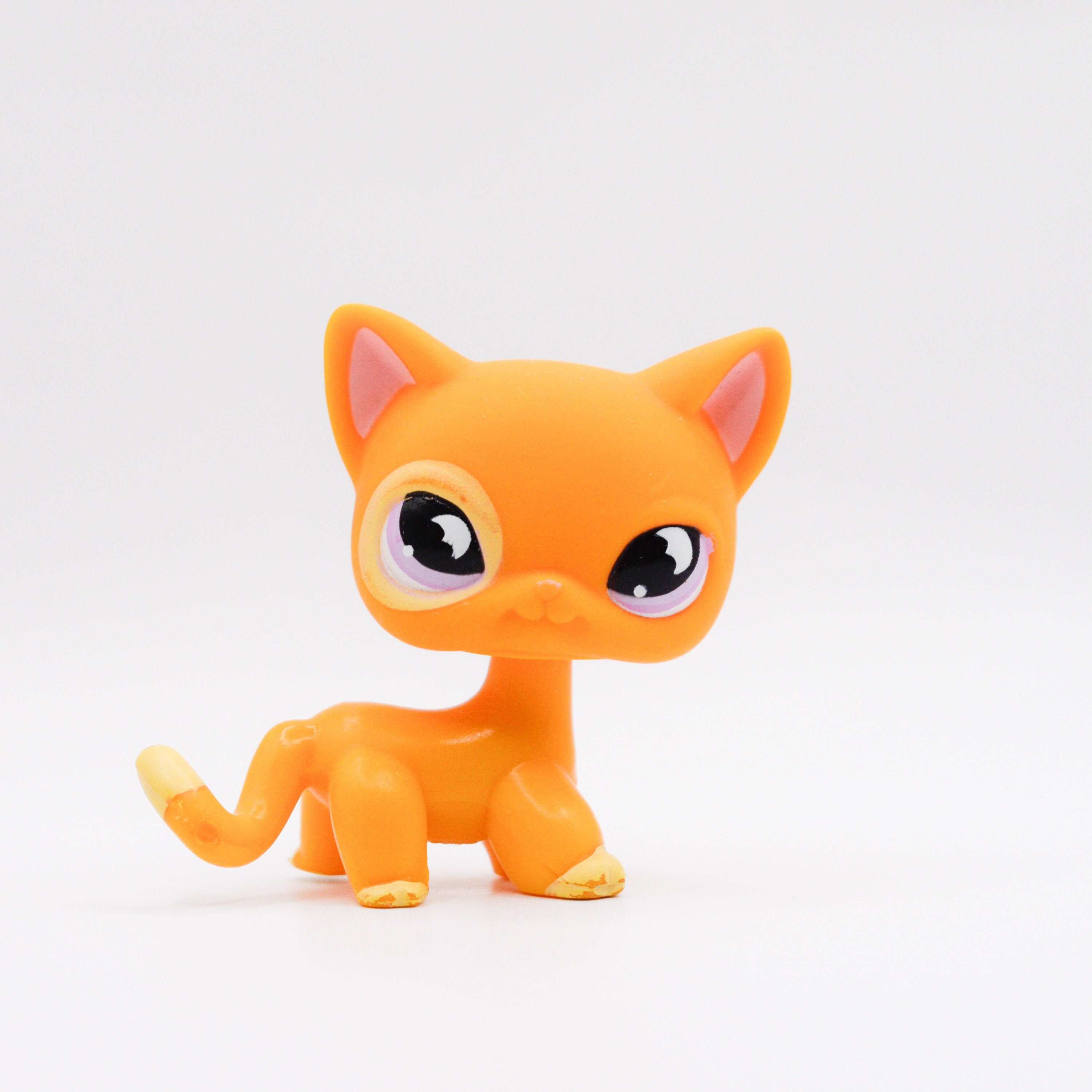 lps shorthair cat 855