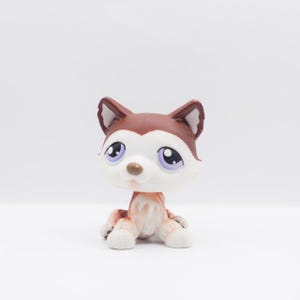 LPS | Littlest Pet Shop | #427 Husky |  Hasbro | Collector Toys | Petshop | Authentic Littlest Pet Shop