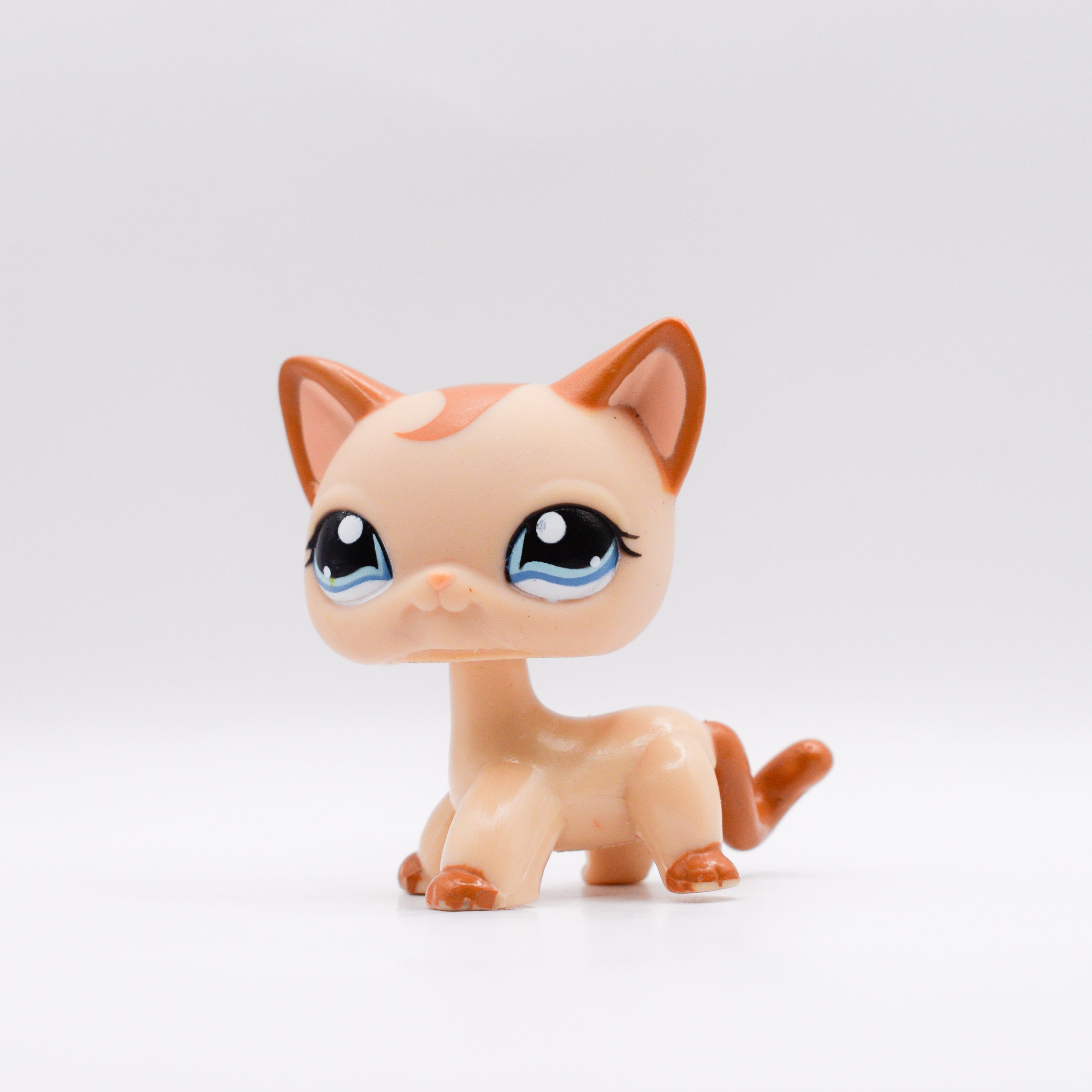 Littlest Shop 1023 Shorthair Cat Hasbro Etsy