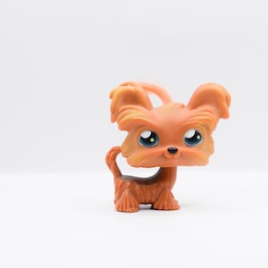 LPS | Entzückender Shi Tzu | Authentisch Littlest Pet Shop | Hasbro | Sammler Spielzeug