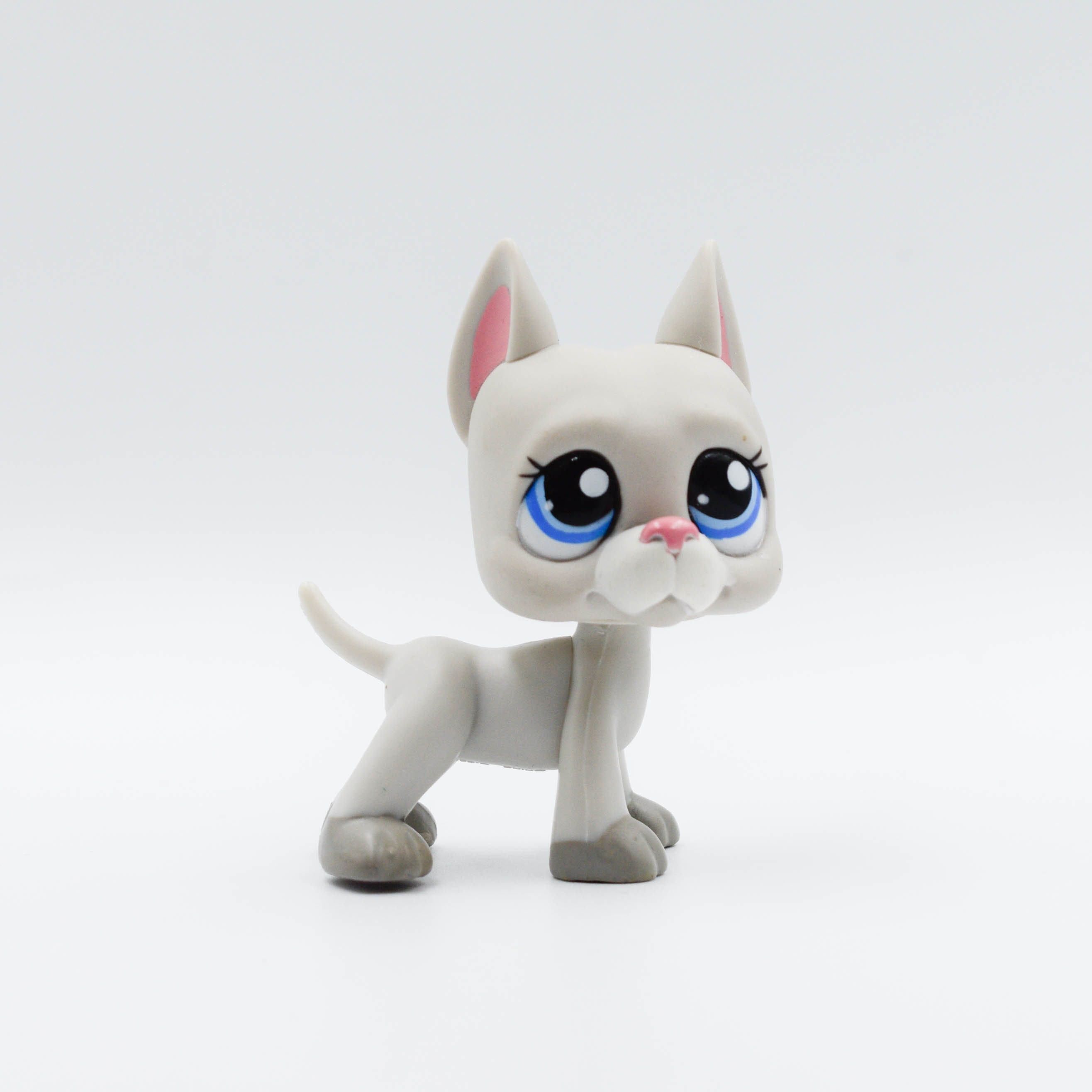 Lps dane deals