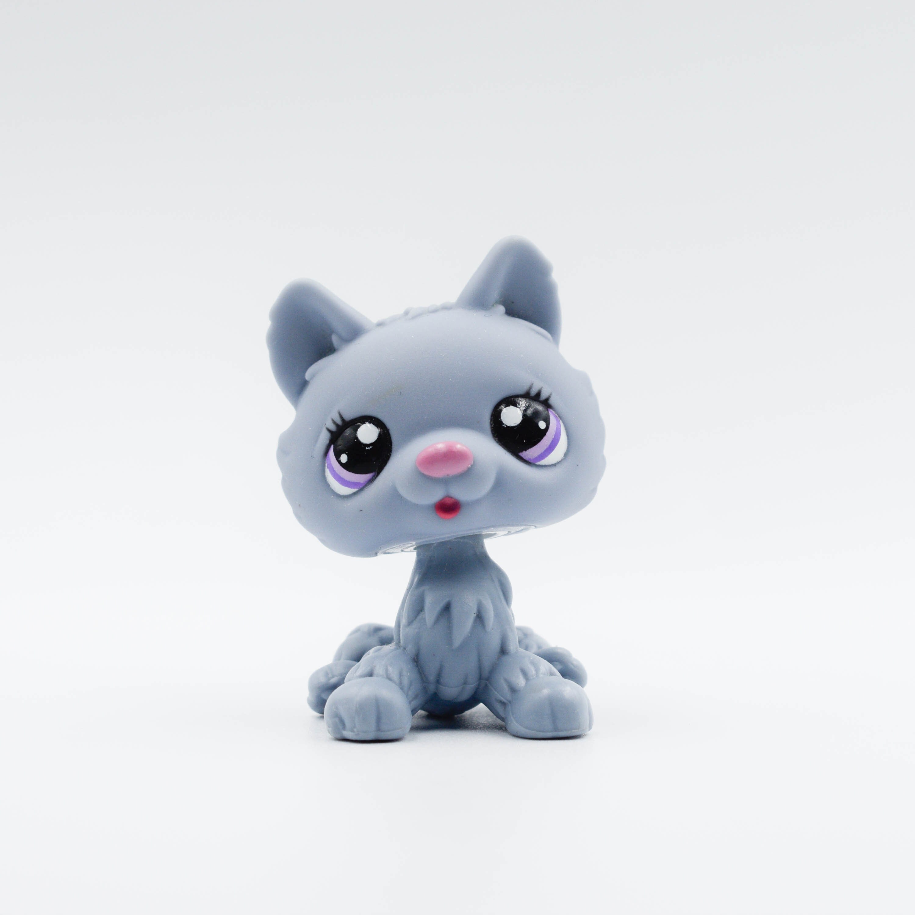 Littlest pet shop husky outlet