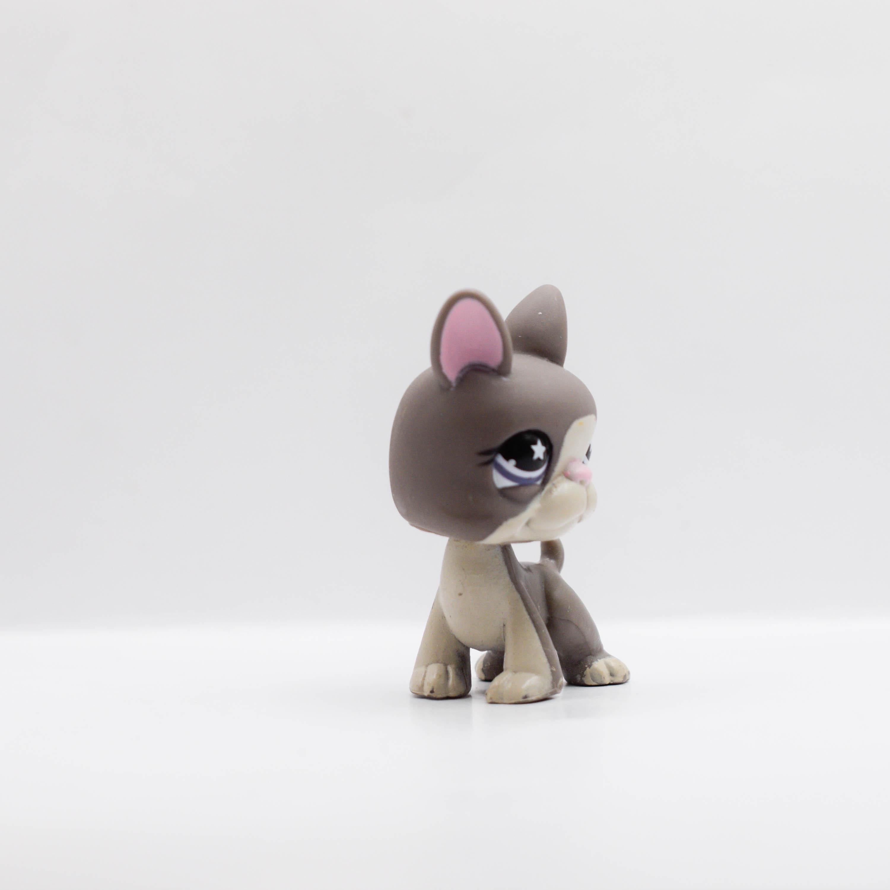 LPS | Littlest Pet Shop | #958 Boston Terrier | Hasbro | Collector Toys ...