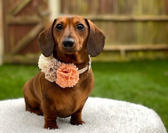 POM POM FLOWER Collar Slide on Floral Accessory - 7-8cm for Pets