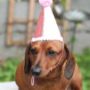 BIRTHDAY/SPECIAL OCASSION in pink , hat for dogs/cats/puppies/kittens. Snug adjustable fit and personalisation option