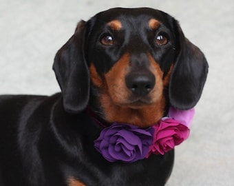 Medium Rose flower Easy Slide on Collar Accessory (7cm) for pets