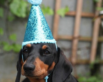 BIRTHDAY/SPECIAL OCASSION hat in blue for dogs/cats/puppies/kittens - adjustable fit and optional personalisation