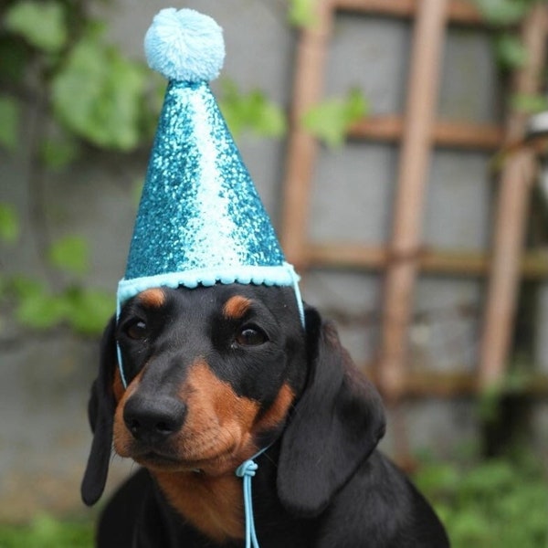 BIRTHDAY/SPECIAL OCASSION hat in blue for dogs/cats/puppies/kittens - adjustable fit and optional personalisation