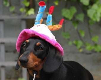 HAPPY BIRTHDAY HAT (Blue and Pink options) with candles - fun birthday hat for your cat/dog/puppy