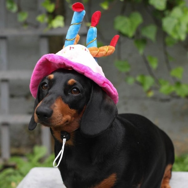 CHAPEAU DE JOYEUX ANNIVERSAIRE (options bleu et rose) avec des bougies - chapeau d'anniversaire amusant pour votre chat/chien/chiot