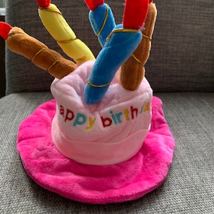 HAPPY BIRTHDAY HAT Blue and Pink options with candles fun birthday hat for your cat/dog/puppy image 4