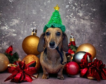CHRISTMAS TREE HAT with adjustable strap -small to medium breeds- stocking fillers