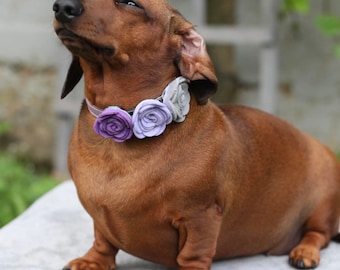 FELT ROSE FLOWER -  small 3/4 cm collar accessory -slide on - for pets