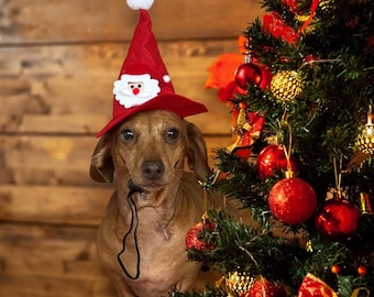 FESTIVE CHRISTMAS Felt hat with Santa feature and white Pom Pom.  Perfect stocking filler. Fits firmly - for cars , dogs puppies and kittens