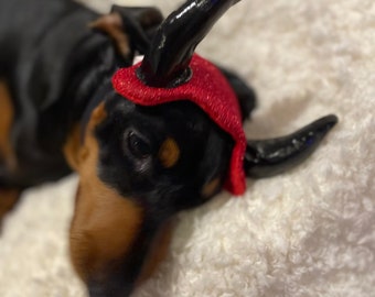 Little devil hats that are too cute