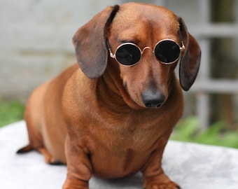 Round Pet Sunglasses – John Lennon Style for Small Dogs, Cats