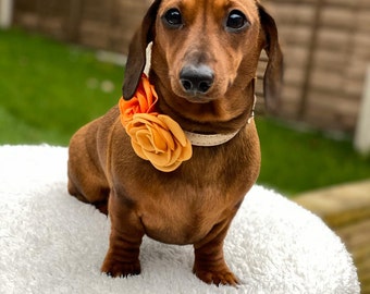 SATIN ROSE floral slide on collar accessory (5-6cm) for dogs/cats/puppies and kittens - perfect for weddings