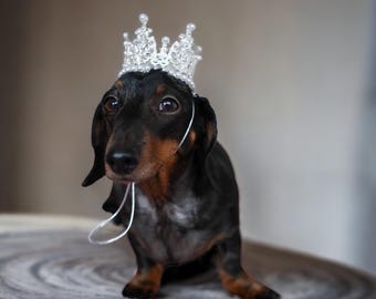 ROYAL CROWN for little dog breeds, cats and kittens, silver and gold options