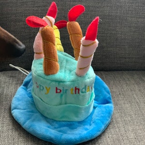 HAPPY BIRTHDAY HAT Blue and Pink options with candles fun birthday hat for your cat/dog/puppy image 6