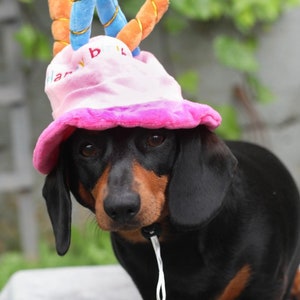 HAPPY BIRTHDAY HAT Blue and Pink options with candles fun birthday hat for your cat/dog/puppy image 2