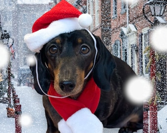 FESTIVE CHRISTMAS HAT and Scarf set in soft plush colours - to fit a small to medium size dog- neck 11 inch.