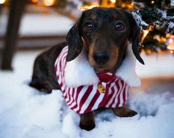 CHRISTMAS CAPE with a faux fur collar - max 11 inch neck