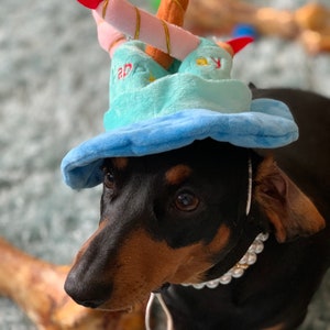 HAPPY BIRTHDAY HAT Blue and Pink options with candles fun birthday hat for your cat/dog/puppy image 7