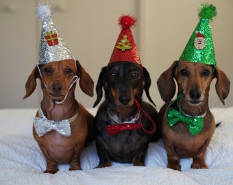 CHRISTMAS HAT and Sequin Bow Tie Set for Dogs, Cats, Kittens and Puppies- so adorable