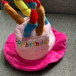 HAPPY BIRTHDAY HAT Blue and Pink options with candles fun birthday hat for your cat/dog/puppy image 5