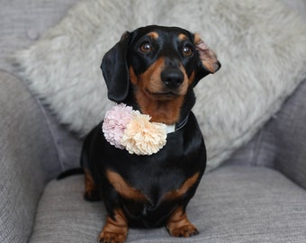 POM POM FLOWER Collar Slide on Floral Accessory - 7-8cm for Cats/Dogs/Puppies/Kittens