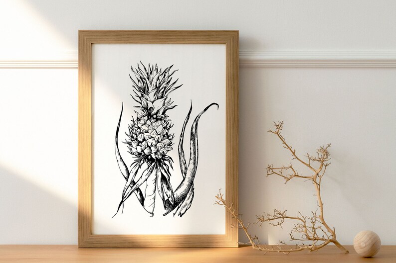 Puede incluir: Un dibujo en blanco y negro de una planta de pi&ntilde;a en un marco de madera. La pi&ntilde;a est&aacute; en el centro de la imagen y las hojas se extienden a su alrededor.