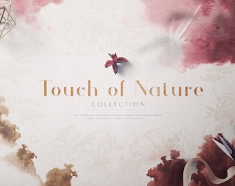 Botanical Illustration Clipart – Hand Drawn Floral Art (PNG, EPS)