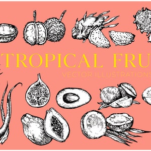 Puede incluir: Una ilustraci&oacute;n en blanco y negro de varios frutos tropicales, incluyendo pi&ntilde;a, papaya, higos, fruta de drag&oacute;n, aguacate, mangost&aacute;n y carambola. El texto "TROPICAL FRUITS VECTOR ILLUSTRATIONS" est&aacute; en la parte superior de la imagen.