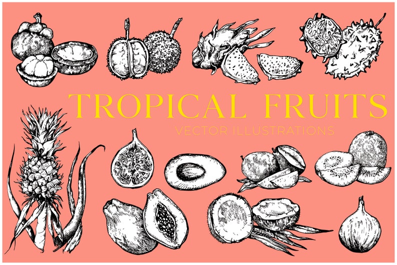 Puede incluir: Una ilustraci&oacute;n en blanco y negro de varios frutos tropicales, incluyendo pi&ntilde;a, papaya, higos, fruta de drag&oacute;n, aguacate, mangost&aacute;n y carambola. El texto "TROPICAL FRUITS VECTOR ILLUSTRATIONS" est&aacute; en la parte superior de la imagen.