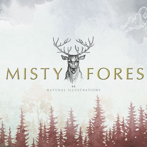Collezione Misty Forest / Pacchetto Clipart Natura / Illustrazione della natura / Arazzo forestale / Arazzo naturale / Clip art animali / Cricut Svg