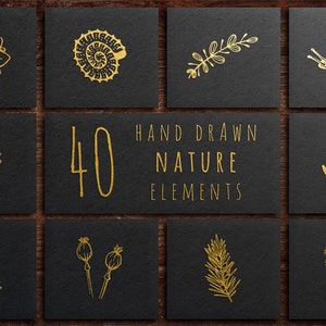 40 elementos da natureza desenhados à mão - ilustrações botânicas - elementos desenhados à mão - impressão botânica - arte botânica - coleção de clipart