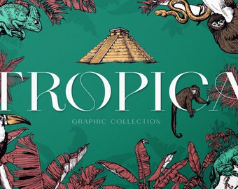 Hand Drawn Tropical Clipart – Jungle Animals, Botanicals (PNG)