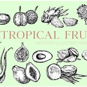 Puede incluir: Una ilustraci&oacute;n en blanco y negro de varios frutos tropicales, incluyendo pi&ntilde;a, papaya, higos, fruta de drag&oacute;n, aguacate, mangost&aacute;n y carambola. La ilustraci&oacute;n est&aacute; sobre un fondo verde claro e incluye el texto "FRUTAS TROPICALES ILUSTRACIONES VECTORIALES".
